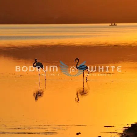 Holiday home Bodrum Fcc 1 Bedroom Garden Holiday Homes A23 Bogazici